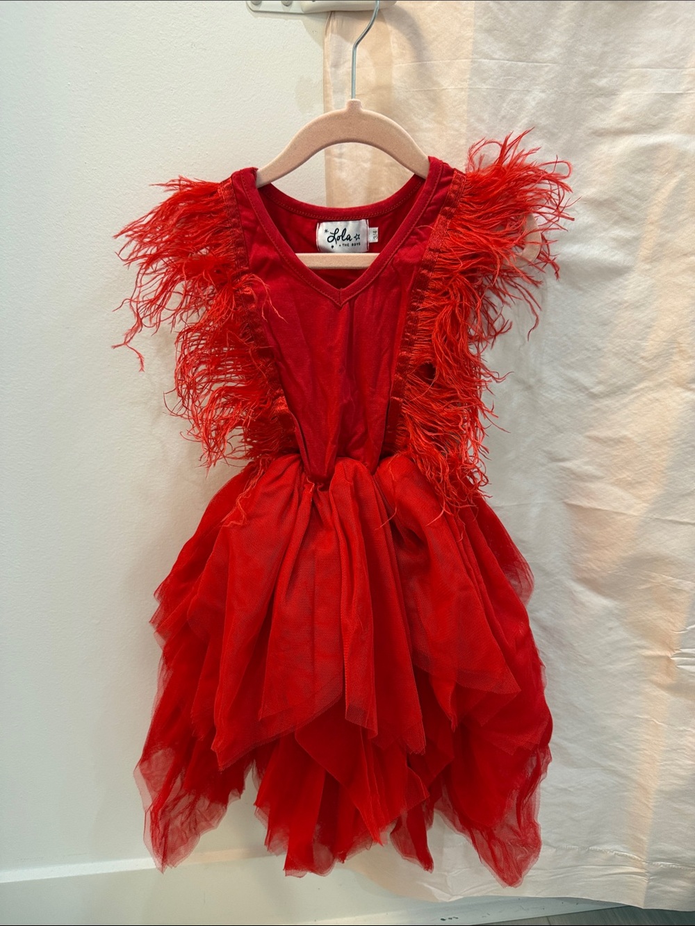 lola Red Feather-Trim Tulle Dress for Kids